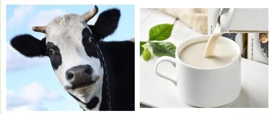 1606981256809427.jpg 微信截圖_20201203153716.jpg