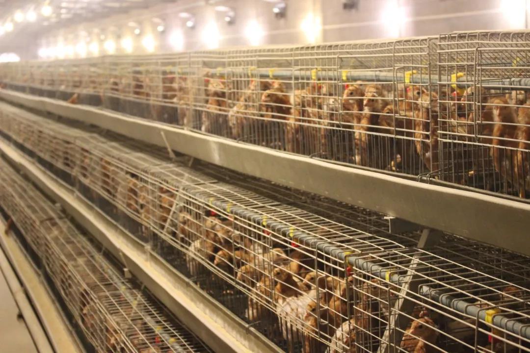 1607045827448198.jpg 微信圖片_20201204093514.jpg