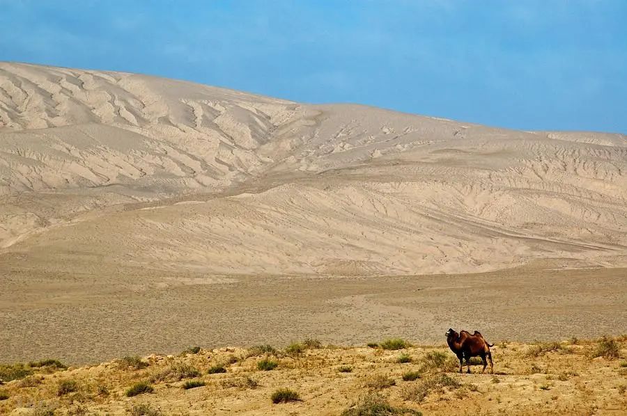 1649493499863008.jpg 微信圖片_20220409163603.jpg